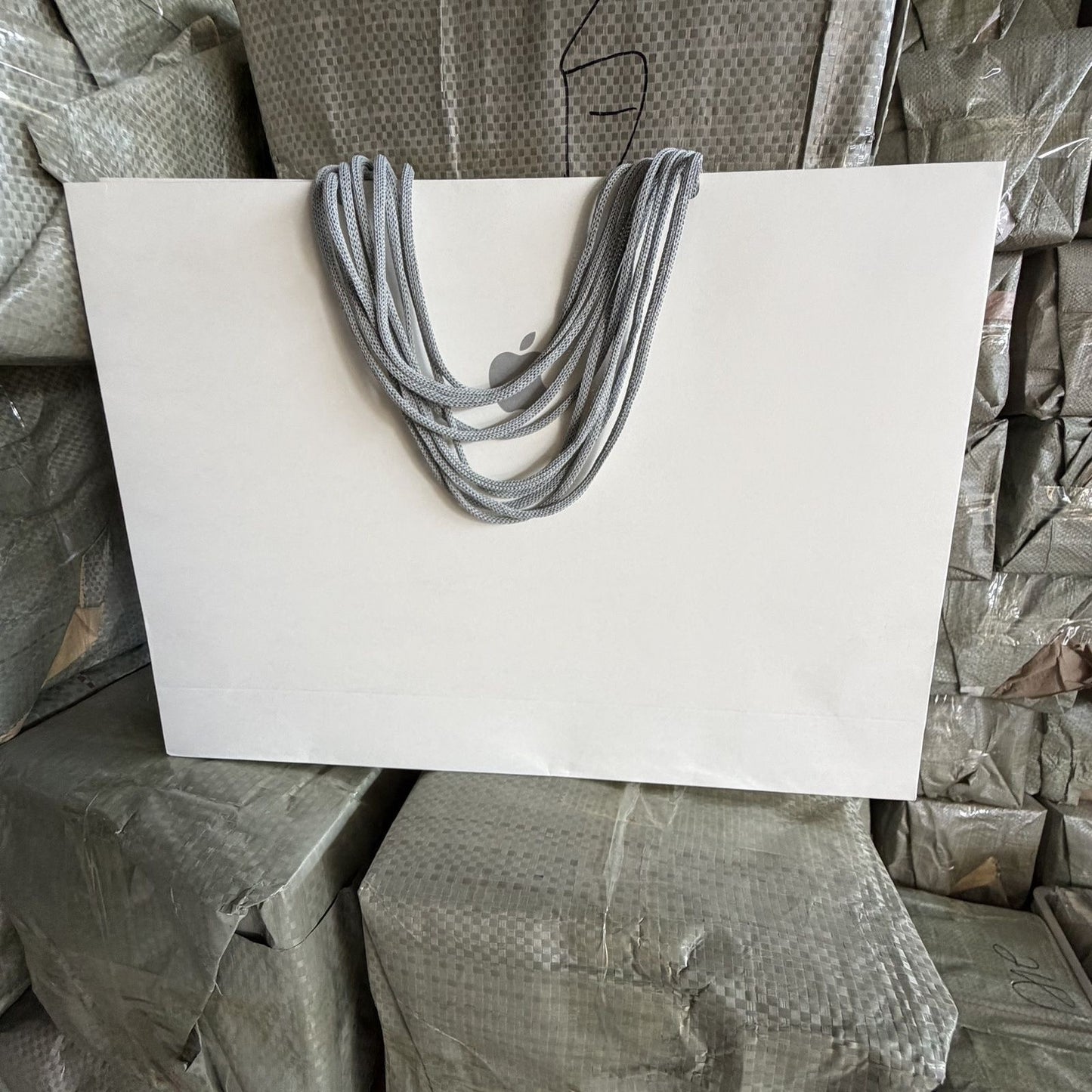 White Paper Gift Bag for iPhone 17 16 15 14 13 Series